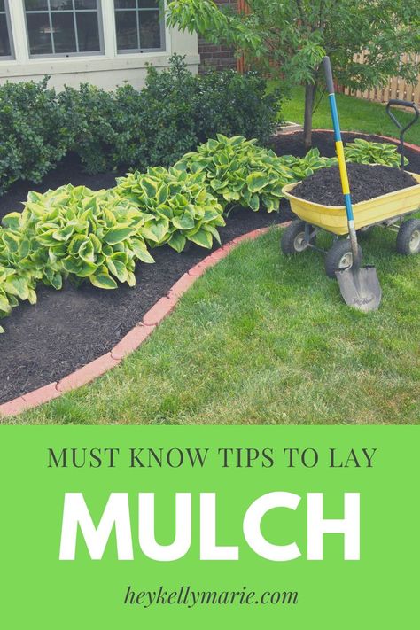 Front Yard Flower Bed, Types Of Mulch, Mulch Landscaping, Northern Nevada, Growing Strawberries, Strawberry Plants, Landscaping Tips, Free Plants, Diy Landscaping