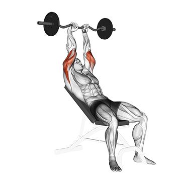 French Press Exercise, Gym Station, Best Tricep Exercises, Triceps Extension, Male Workout, Gym Back Workout, Triceps Exercises, Tricep Exercises, Bicep And Tricep Workout