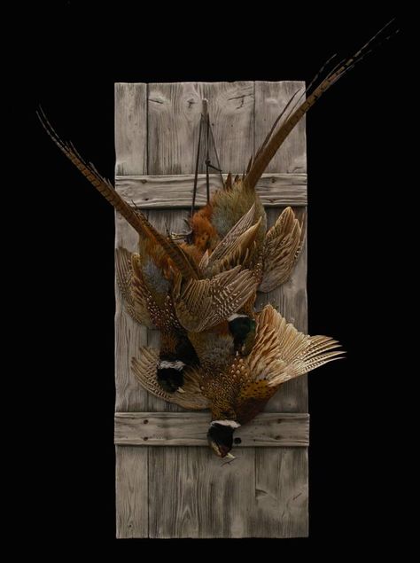 Pheasant mount? Pheasant Taxidermy Mount, Pheasant Taxidermy, Hunting Mounts, Pheasant Mounts, Turkey Mounts, Deer Hunting Decor, Waterfowl Taxidermy, Sarah Lamb, Bird Taxidermy