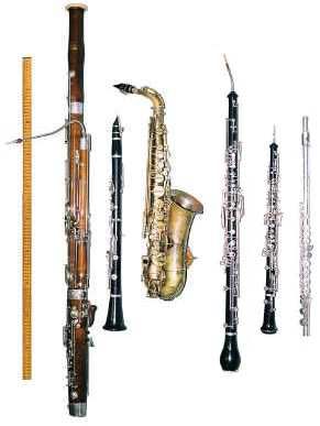 How Do Woodwind Instruments Work? Woodwind Instrument, Saxophones, Brass Instruments, Woodwind Instruments, Music Appreciation, Folk Instruments, Music And Movement, Bassoon, Piano Lessons