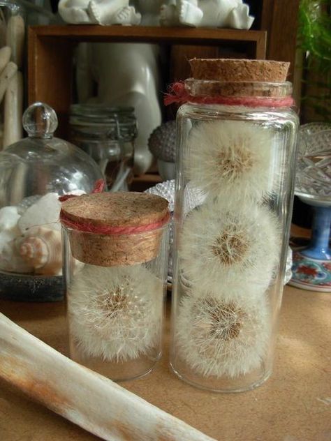 Glass Vial Crafts, Dandelion Crafts, Diy Birthday Gifts For Boyfriend, Dandelion Decor, Valentine's Day Gifts For Boyfriend, Witchy Crafts, Gifts For Boyfriend, Horror Movie Characters