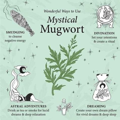 Medicinal Herbs Remedies, Herbs For Protection, Dream Herbs, Artemisia Vulgaris, Medical Herbs, Sleep Dream, Dream Pillow, Vivid Dreams, Psychic Powers