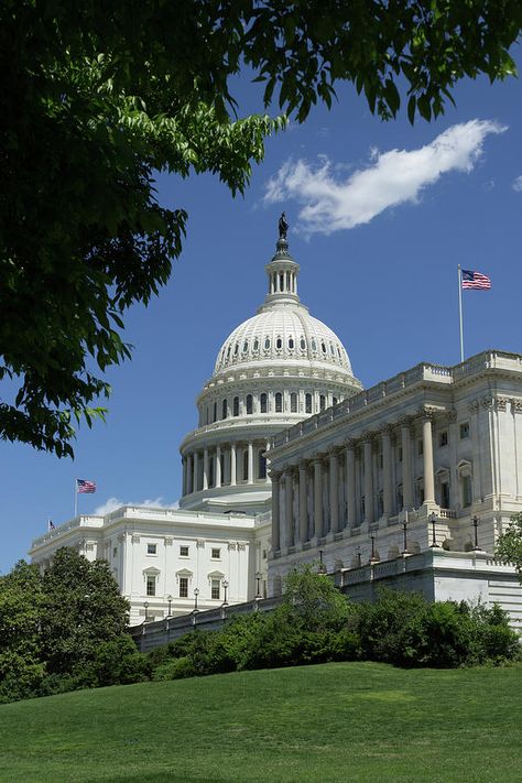 American Government Aesthetic, Capital Hill Washington Dc, Us Government Aesthetic, Politicians Aesthetic, Capitol Hill Aesthetic, Washington D.c Aesthetic, Congress Aesthetic, United States Aesthetic, Sympathetic Villain