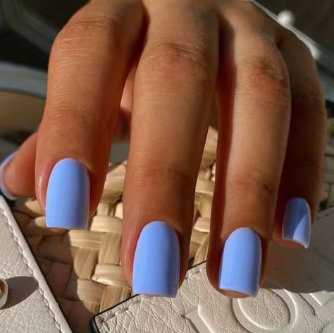 Look fabulous and save time with these stylish press-on nails! Adorned with a solid powder blue hue, you'll turn heads with Take a Powder from Kaki Jo's Closet. They're the perfect length to flaunt your fingers without going overboard - plus, they have to be seen to be believed! Get it now and show the world just how blue you can be! Natural Nail Tips, Natural Nail Art, Short Fake Nails, Short Press On Nails, Nagel Tips, Fake Nails With Glue, Blue Nail, Stick On Nails, Nail Accessories