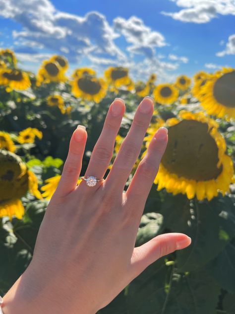 Sunflower Proposal, Sunflower, Engagement Rings