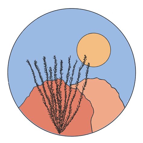 Ocotillo Cactus Drawing, Big Bend National Park Tattoo, Ocotillo Illustration, Big Bend Tattoo, Ocotillo Drawing, Yucca Painting, Ocotillo Art, Ocotillo Tattoo, Yucca Tattoo