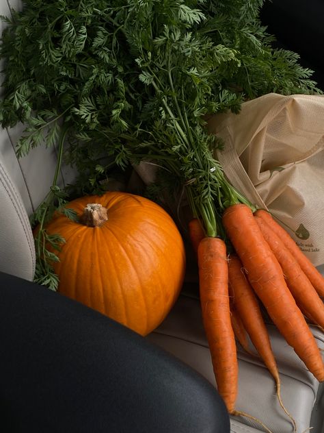 #pumpkin #fall #autumn #autumnvibes #october #carrots #vegetarian #aesthetic #fallrecipes Vegetarian Aesthetic, Cade Eaton, Willa Grant, Fall Vegetables, Orange Velvet, Pumpkin Fall, Bratz Doll, Autumn Aesthetic, Butternut Squash