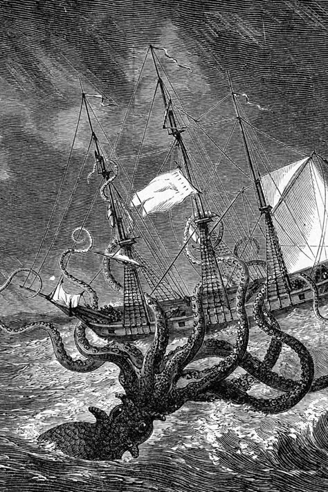 Illustration of a kraken taking on a sailing ship. Sea Monster Art, Kraken Art, Monster Board, Zodiac Tattoos, Cthulhu Mythos, Octopus Art, Ancient Maps, World Of Fantasy, Art Courses