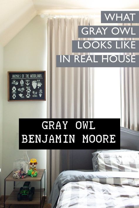 Searching for the perfect gray paint color is such a complex task due to all the tones that can come through in different lighting. When I chose Gray Owl by Benjamin Moore, I chose it solely off all the stellar reviews it had online without testing it out on my own walls first. Verdict: NOT a neutral gray. However, it is one of the most popular paint colors in my whole house! Here is why I still absolutely love this color and how it compares to other gray tones in his room. #GrayPaintColors Grey Owl Benjamin Moore Living Room, Perfect Gray Paint Color, Benjamin Moore Gray Owl, Gray Owl Paint, White Rustic Decor, Perfect Grey Paint Color, Neutral Gray Paint, Owl Bathroom, Benjamin Moore Grey Owl