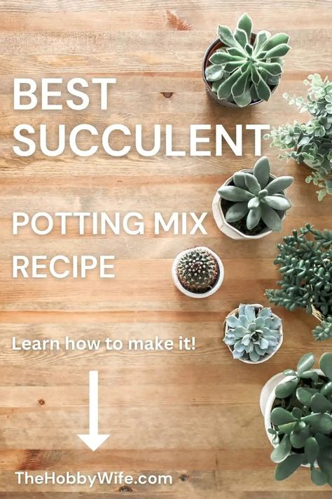 best succulent potting mix recipe. Succulent Mix Soil, Succulent Soil Recipe, Succulent Potting Mix Recipe, Diy Succulent Soil, Succulent Soil Mix Diy, Potting Mix Recipe, Soil Recipe, Succulent Potting Mix, Succulent Soil