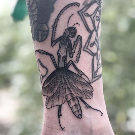 Traditional Insect Tattoo Black, Traditional Mantis Tattoo, Praying Mantis Tattoo Color, Bugs Tattoo Insects, Flower Mantis Tattoo, Praying Mantis Tattoo Traditional, Orchid Mantis Tattoo, Mantis Tattoo Design, Praying Mantis Drawing