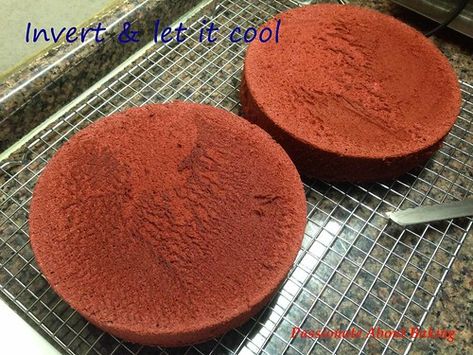 Passionate About Baking: Red Velvet Chiffon Cake Baking Red Velvet, Chiffon Cake Recipe, Red Velvet Recipes, Light Cakes, Chiffon Cake, Round Cake Pans, Velvet Cake, Red Velvet Cake, Yummy Sweets