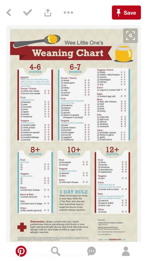 100 Foods Before One Baby List, Baby Meal Plan, Baby Feeding Chart, Baby Food Chart, Easy Baby Food Recipes, Baby Routine, Healthy Baby Food, Baby First Foods, Newborn Mom