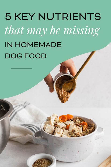 Home-cooking for your dog can be a fresh and nutritious option, as well as a great way to have total control over the ingredients that go into their meals. The most important step to take when cooking at home for your dog is to ensure that each meal is complete and balanced. The best way to ensure a balanced meal each time is... Home Cooked Dog Food, A Balanced Meal, Cooking At Home, Dog Recipes, How To Make Breakfast, Homemade Dog Food, Cook At Home, Homemade Dog, Balanced Diet