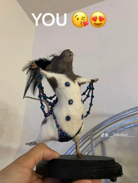 Taxidermy Fails, Weird Taxidermy, Bad Taxidermy, Art Inspiration Reference, Taxidermy Art, Inspiration Reference, Cute Rats, Strange And Unusual, Rodents