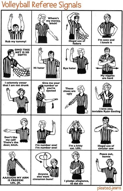 studying hard for my volleyball quiz and found this... please excuse the language Volleyball Hand Signals, Volleyball Referee, Volleyball Signs, Volleyball Rules, Olympic Volleyball, Volleyball Positions, Volleyball Memes, Volleyball Skills, Ball Aesthetic