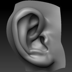 Ear Model, Ear Anatomy, How To Draw Ears, Facial Anatomy, Face Anatomy, Anatomy Sculpture, Human Sculpture, Sculpture Techniques, 얼굴 그리기