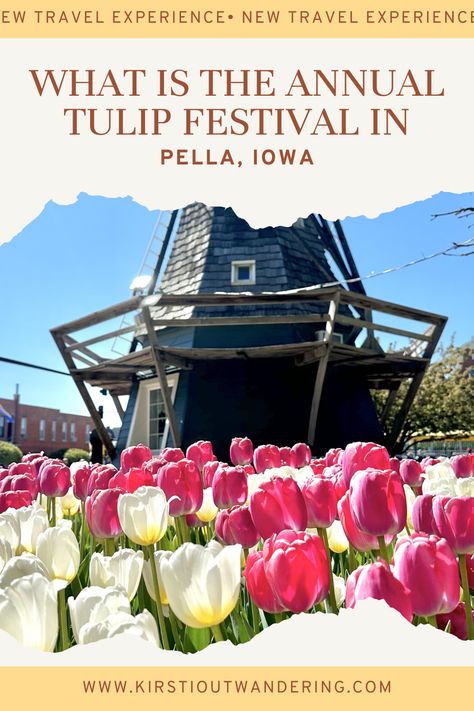 Dutch windmill with tulips in Pella Iowa Pella Iowa, Dutch Heritage, Vacation Bucket List, Give Me A Break, Tulip Festival, Vacation Usa, Travel History, Shop Windows, Iowa City