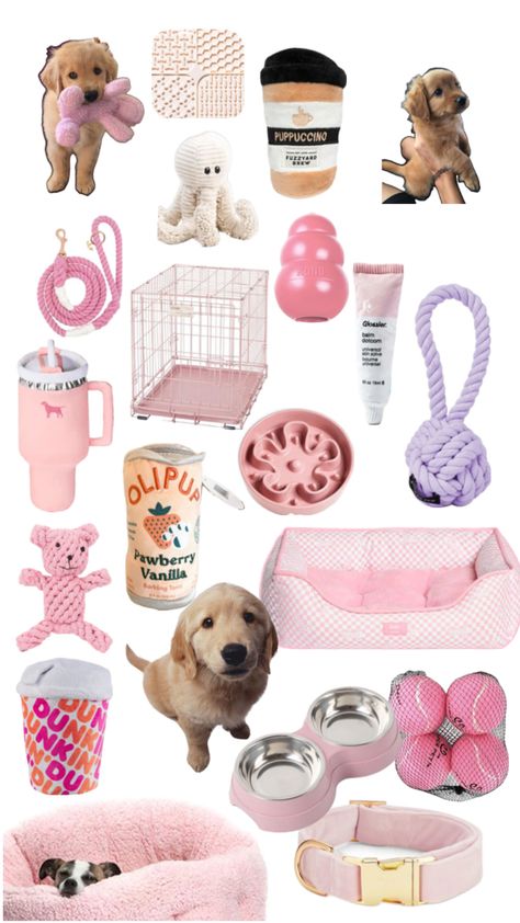 Things For Puppies, Puppy Room, Samoyed Puppy, Puppy Supplies, Drawing Bag, Glamour Nails, Cute Bedroom Ideas, Animal Room, Cute Animals Images