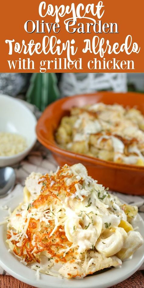 Baked Tortellini Alfredo, Garden Oven, Baked Tortellini, Tortellini Alfredo, Copycat Olive Garden, Olive Garden Recipes, Tortellini Bake, Chicken Tortellini, Tortellini Recipes