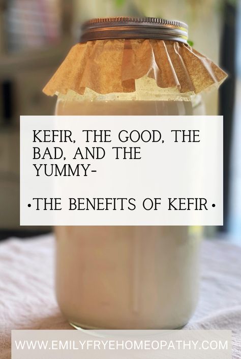 Whenever I chat with clients or friends, I always find myself recommending kefir. It's a powerhouse addition to your daily routine, capable of boosting nearly every aspect of your health. The advantages of incorporating kefir into your diet are truly remarkable! Although this article isn't focused on homeopathy, it offers valuable insights that could significantly enhance your well-being. Kefir Health Benefits, Benefits Of Keifer, Water Kefir Benefits, Milk Kefir Benefits, Benefits Of Kefir, Goat Kefir, Homestead Food, Kefir Benefits, Kefir Yogurt