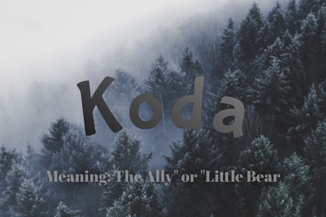 Baby name Koda Name Meaning, Koda Name, Old Names, Name Inspiration, Cute Names, Baby Name, Boy Names, Fertility, First Names