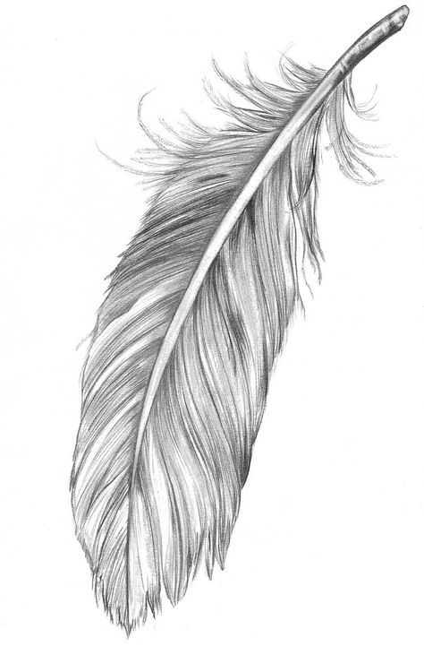 Realistic Feather Tattoo, Feather Tattoo Stencil, Feather Tattoo Drawing, White Feather Tattoos, Feather Sketch, Wörter Tattoos, Native American Feathers, Wood Burning Stencils, Feather Drawing