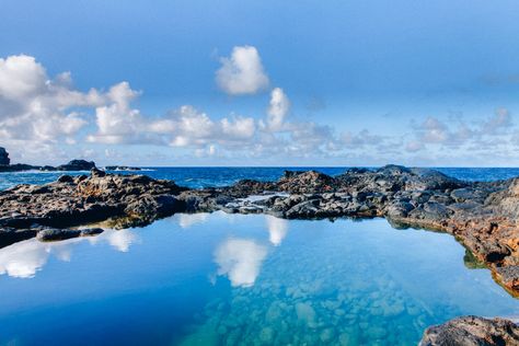 The Unreal Olivine Pools of Maui The Olivine Pools in Maui are way cool! These tide pools look truly stunning; trust me, pictures hardly do the site justice. These mini swimming pools along the rocky Maui coast offer a perfect escape from the scorching Maui sun. You can take a dip in cool water while […] The post Olivine Pools in Maui – What you need to know before going appeared first on Avenly Lane Travel. Olivine Pools Maui, Best Beaches In Maui, Mermaid Pool, Maui Hawaii Vacation, Red Sand Beach, Ocean Travel, Hawaii Travel Guide, West Maui, Tide Pools