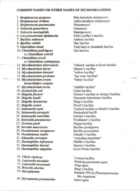 List of Bacteria 40 Scientific Names with 40 Common names Biology Knowledge, Different Types Of Bacteria, Bacteria Microbiology Notes, Bacteria Infographic, Types Of Microorganisms, Mathematics Quotes, Typing Hacks, Bacteria Art, History Of Microbiology