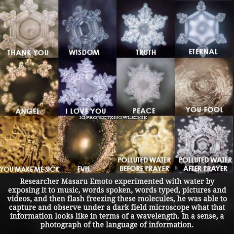 • Project Knowledge • on Instagram: “He found that positive frequencies created beautiful hexagonal symmetry while negative wavelengths took on chaotic, disorganized…” Masaru Emoto, Water Experiments, Herbal Cleanse, Beakers, Things Under A Microscope, Freedom Fighters, Good Energy, He Is Able, The Energy