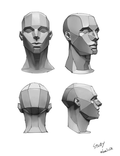 Geometric Portrait Drawing Faces, Human Muscles, Planes Of The Face, Head Anatomy, Face Structure, Face Anatomy, Anatomy Sculpture, 얼굴 드로잉, Human Anatomy Drawing