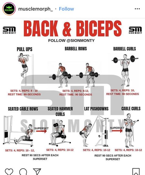 Back And Biceps Workout, Back And Bicep Workout, Bicep Workout, Barbell Row, Cable Row, Bosu Ball, Cardio At Home, Gym Buddy, Workout Beginner