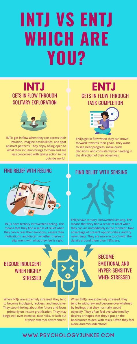 Entj Stereotype Vs Reality, Entj Vs Intj, Mbti Intj, Intj Humor, Entj Personality, Emotional Detachment, Personality Tests, Intj Personality, Myers Briggs Personality Types