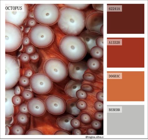 Code of color Octopus Color Palette, Bio Mimicry, Octopus Pirate, Hantaran Ideas, Mimic Octopus, Octopus Colors, Palette Challenge, Color Palette Challenge, Octopus Tentacles