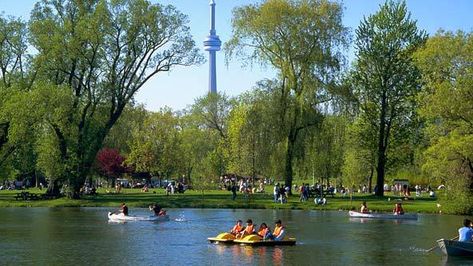 . Pedal Boats, Toronto Neighbourhoods, Visit Toronto, Centre Island, Toronto Photos, Toronto Island, Toronto Travel, Island Park, Toronto Ontario Canada