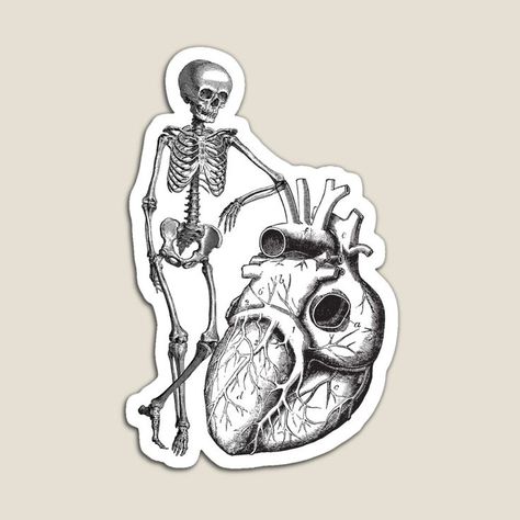 Skeleton With Heart, Skeleton Nurse, Doctor Stickers, Medical Stickers, Funny Laptop Stickers, Skeleton Sticker, Notebook Cover Design, Skeleton Design, Bone Art