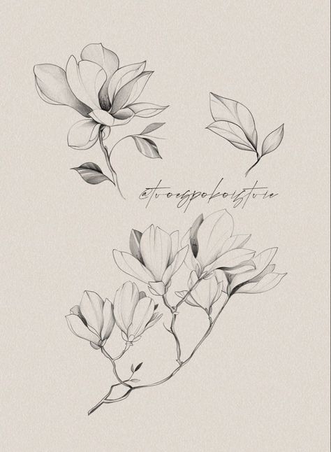 Mongolia Flower Tattoo, Magnolia Tattoo Design, Magnolia Tattoo, Tattoo Floral, Tattoo Shading, Flower Tattoo Drawings, Soul Tattoo, Feather Tattoo Design, Special Tattoos