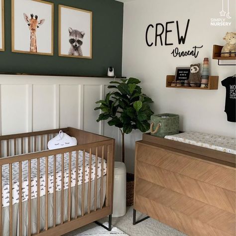 Green Nursery With Brown Furniture, Forest Green Crib Nursery, Waynes Coating Ideas Nursery, Baby Room Ideas Green, Green Boy Nursery Ideas, Twin Boy Nursery Ideas, Baby Boy Nursery Furniture, Baby Boy Green Nursery, Green Kids Room Boys