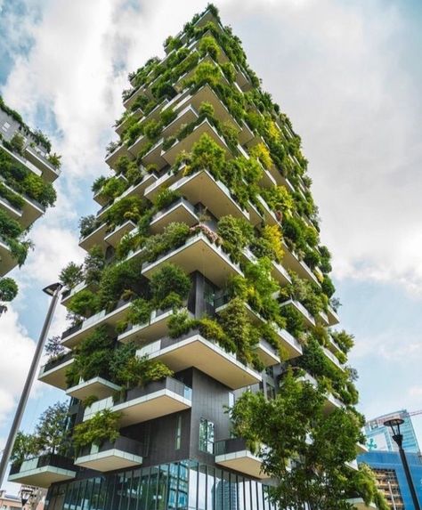 Vertical Forest Architecture, Vertical Forest Milan, Forest Building Architecture, Forest Building, Green Building Architecture, Environmental Architecture, Vertical Forest, Architecture Cool, Green Facade