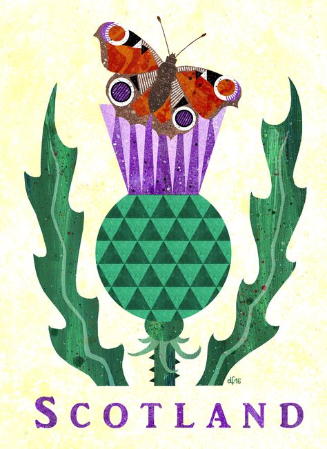 Scottish Thistle with a little guest (peacock butterfly, Inachis io) +++ illustration b Daniela Faber 2016 +++ Scotland plants green lilac purple Tagpfauenauge Distel Scottish Illustration, Thistle Illustration, Scotland Illustration, 2024 Scrapbook, Scottish Thistle Art, Thistles Art, Peacock Butterfly, Plants Green, Scottish Thistle