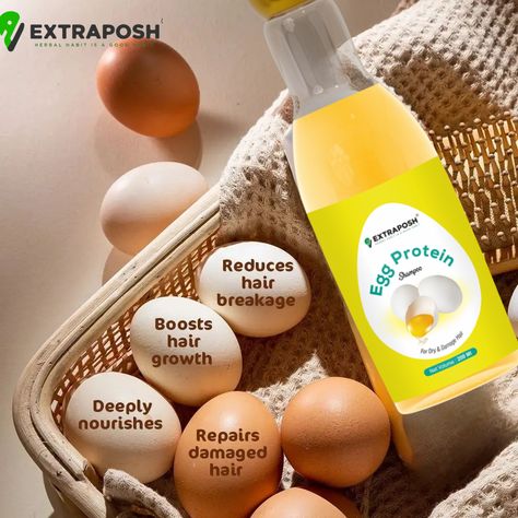 Egg Shampoo, Egg For Hair, Egg Protein, Photo Collage Template, Damaged Hair Repair, Collage Template, Hair Shampoo, Damaged Hair, Hair Growth