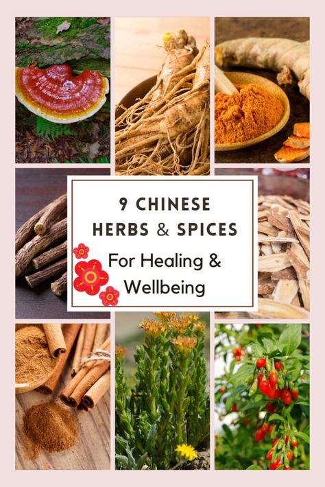 9 Common Types of Chinese Herbs and Spices For Well-being Chinese Herbal Medicine Recipes, Chinese Herbal Medicine Remedies, Chinese Medicinal Herbs, Herb Growing, Teas Recipes, Chinese Spices, Chinese Herbal Medicine, Herbal Teas Recipes, Adaptogenic Herbs