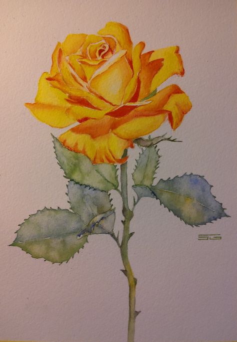 Minimalistic Tattoo, Art Painting Tools, Rose Drawing, Minimalist Tattoos, Painting Glassware, Watercolor Plants, Roses Drawing, Art Painting Gallery, Watercolor Flower Art