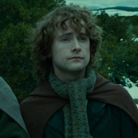 Aesthetic Lord Of The Rings, Lord Of The Rings Aesthetic, Hobbit Aesthetic, Lotr Aesthetic, Cottagecore Icons, Billy Boyd, Merry And Pippin, The Fellowship Of The Ring, Ring Icon