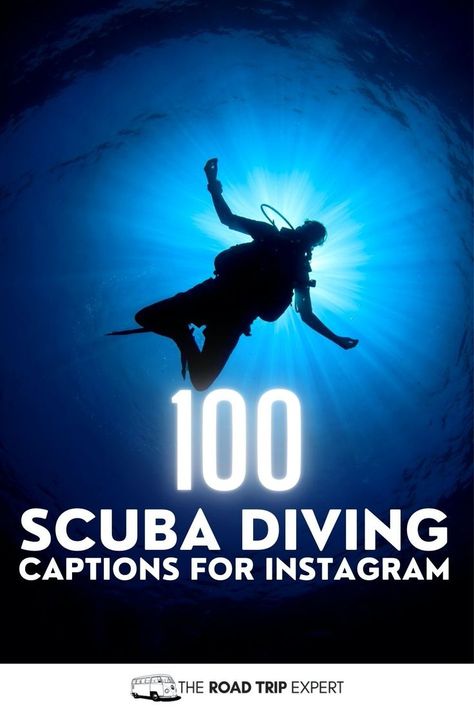 Scuba Diving Captions for Instagram Underwater Quotes, Scuba Diving Pictures, Scuba Diving Quotes, Diving Quotes, Sky Diving, Underwater Pictures, Perfect Captions, Best Scuba Diving, Quotes For Instagram