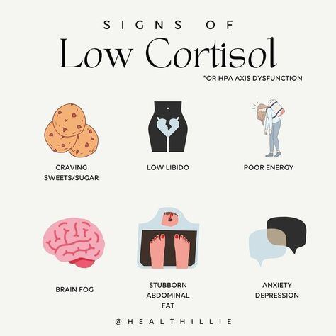 Cortisol Diet, Low Cortisol, 40s Women, Cortisol Reduction, Bio Hacking, Wellness Ideas, Creatinine Levels, Not Caring, Brain Surgeon