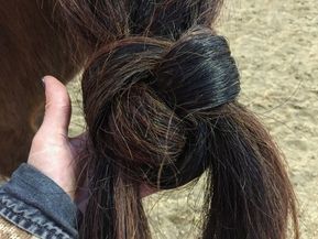 Horse Mane Braids, Horse Braiding, Tail Braids, Horse Care Tips, Horse Info, Horse Mane, Horse Tail, Barrel Horse, Hair Knot