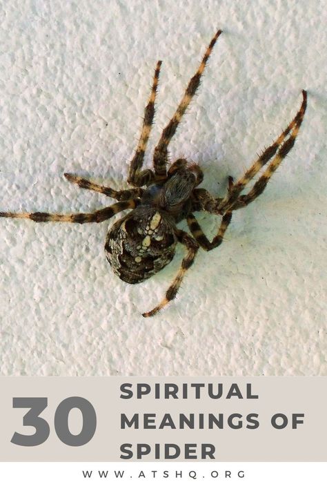 Spider Totem Meaning, Spider Meaning In Witchcraft, Seeing Spiders Meaning, Black Widow Spider Spiritual Meaning, Spider Tattoo Meaning, Spider Spiritual Meaning, Spider Meaning, Spider Symbolism, Fear Of Spiders