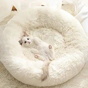 Warming Bed, Sleep Improvement, Relaxed Dog, Small Pet Bed, Kitten Beds, Donut Cat, Calming Cat, Dog Basket, Pet Cushions