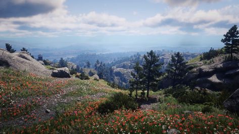 Rdr 2 Scenery, Red Dead Redemption 2 Scenery, Rdr2 Background, Funny Rdr2, Rdr2 Scenery, Aesthetic Tv, Cook Skins, Minecraft Garden, Red Dead Redemption Ii